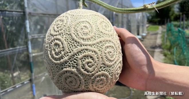 メロンでワンピース「悪魔の実」を再現した高校生 5時間かけて渦巻模様